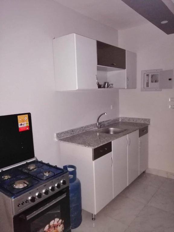 a small kitchen with a stove and a sink at 101 b in Hurghada