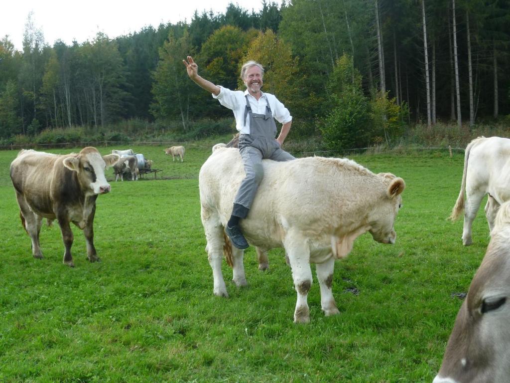 Zvířata v venkovského domu nebo okolí