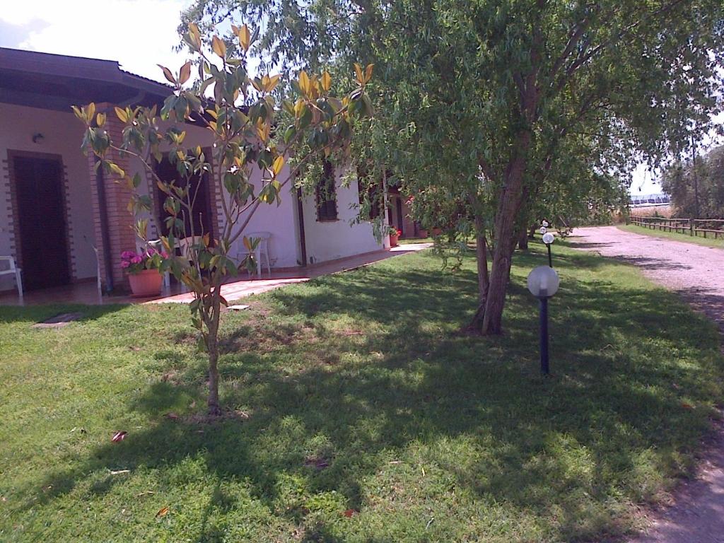 two trees in a yard next to a house at Agriturismo Arcobaleno in Bagno Roselle