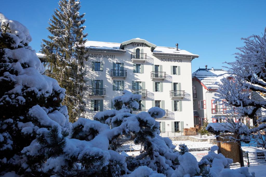 ムジェーヴにあるGrand Hotel Soleil d'Orの雪に覆われた木の前の建物