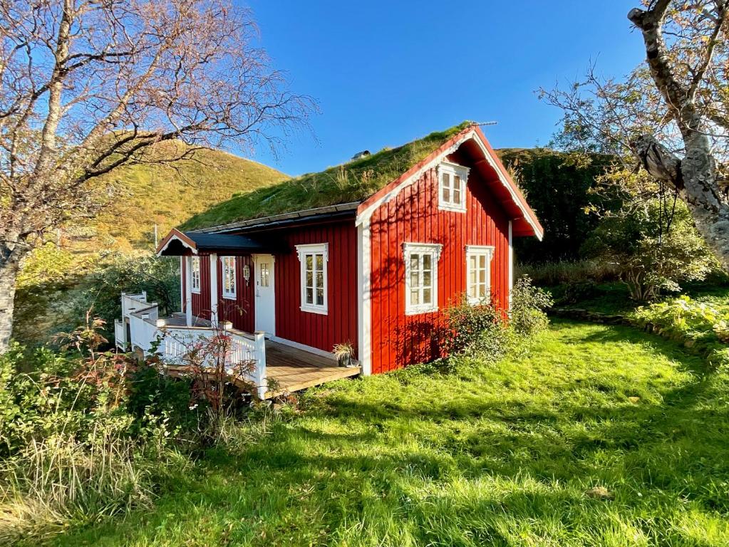 uma casa vermelha com um telhado de relva num campo em Cabin with charm in Lofoten em Valberg