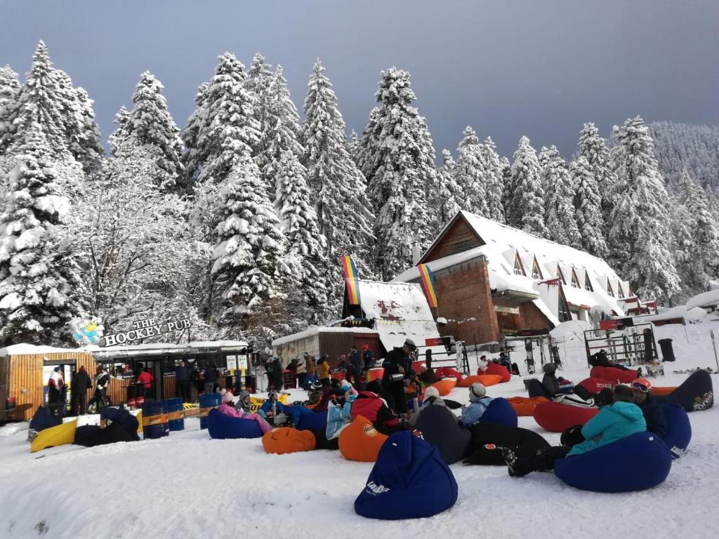 um grupo de pessoas sentadas na neve em Ski View em Poiana Brasov