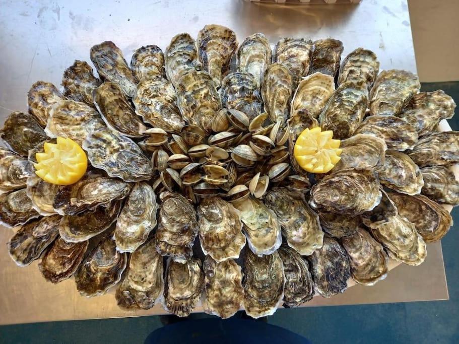 Fotografia z galérie ubytovania Les Sternes - Maison de pêcheur v destinácii Sarzeau