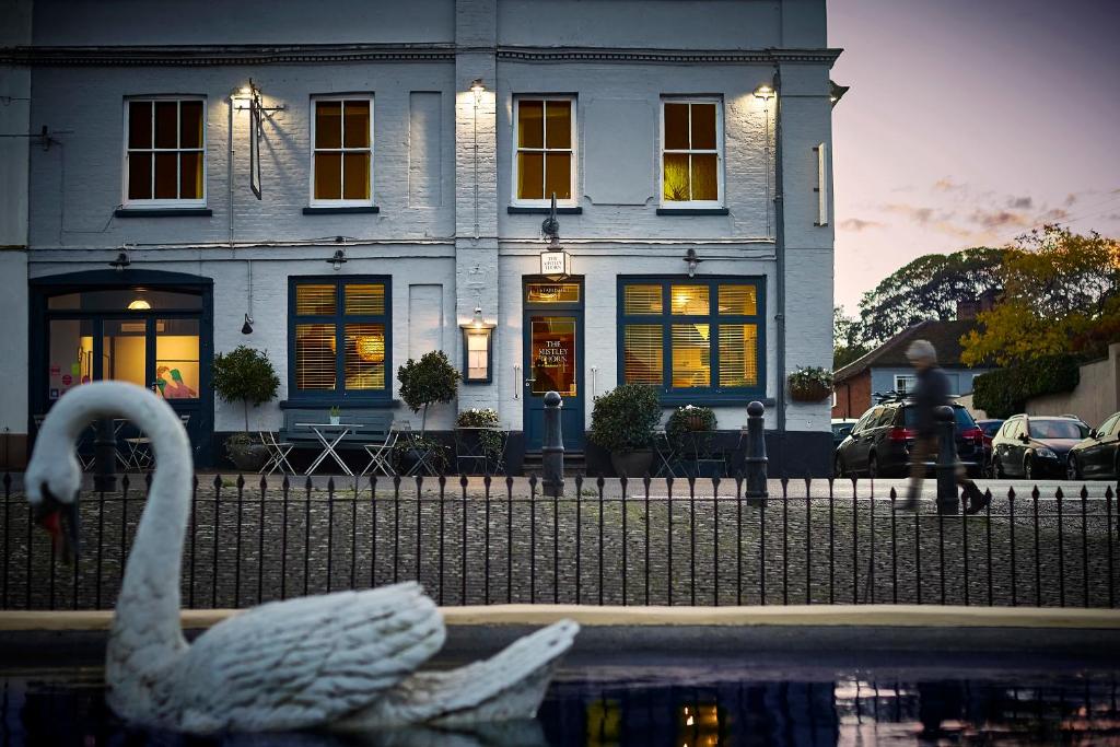 un cisne en una piscina frente a una casa en The Mistley Thorn en Mistley