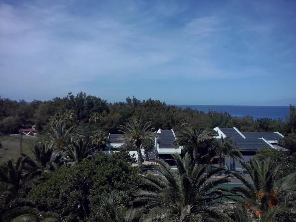 een luchtzicht op een huis met palmbomen bij Atico en La Aldea de San Nicolas in San Nicolás