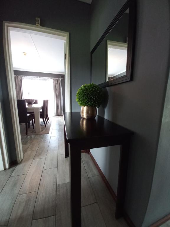 eine Topfpflanze auf einem Tisch in einem Zimmer mit Spiegel in der Unterkunft TPOKAY Self Catering Holiday Home in Pietermaritzburg