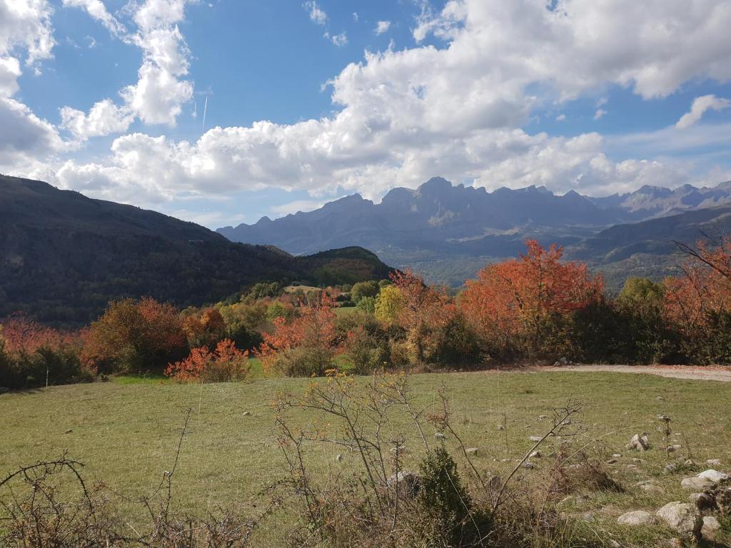 a field with trees and mountains in the background at Mandilar Confort Panticosa in Panticosa