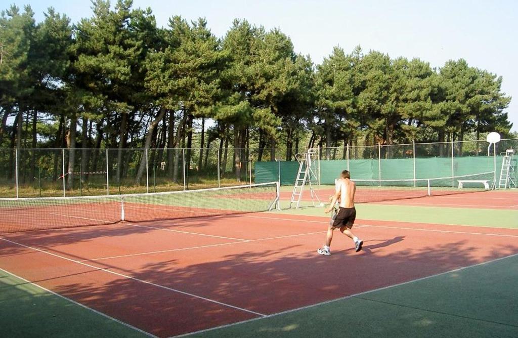 Tenis a/nebo squash v ubytování Chalet2rent Ameland nebo okolí
