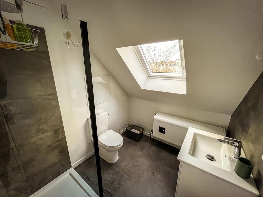 a bathroom with a toilet and a sink and a skylight at Le Nid • Cocoon • Netflix • Proche Centre-Ville in Châteauroux