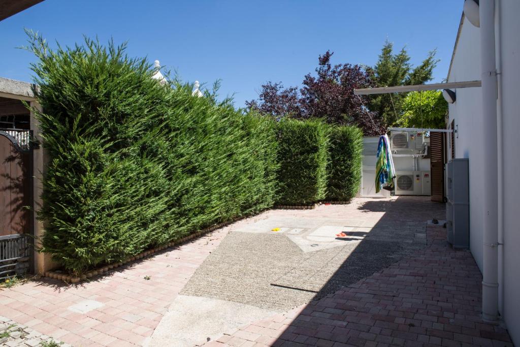 Bed and Breakfast Trulli San Leonardo - 17