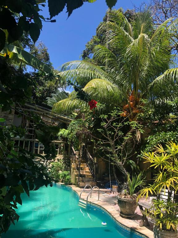 a swimming pool in a garden with a palm tree at Pousada São Pedro in Olinda