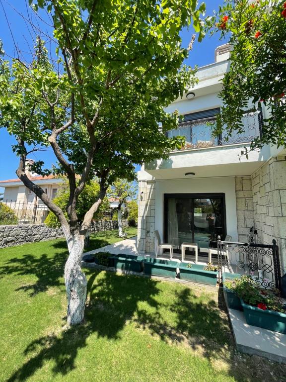 a tree in the yard of a house at Dalyan Risus Suite in Çeşme