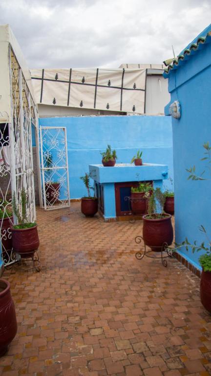 a patio with potted plants and a blue wall at Riad Baba in Fez