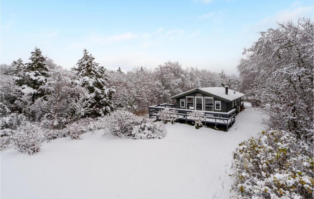 a cabin in the snow with trees and bushes at 2 Bedroom Awesome Home In Thyholm in Thyholm