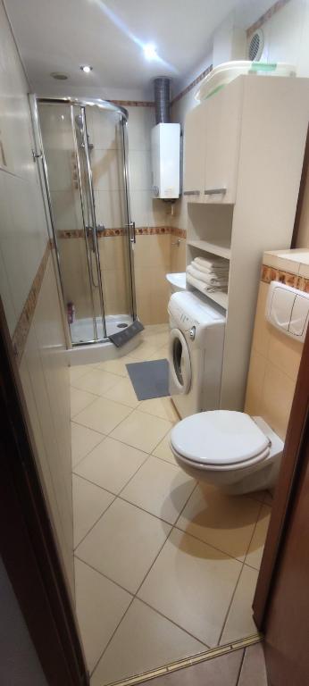 Apartament Żabi Kruk - 7