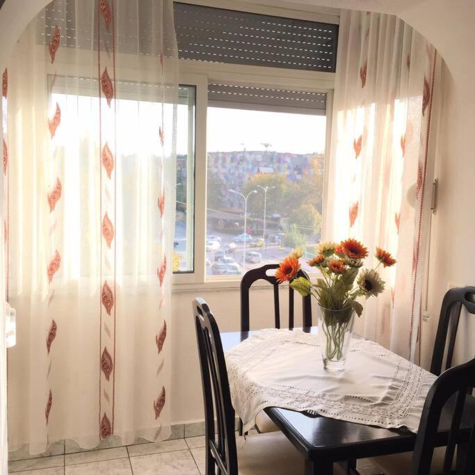 Vera's Cozy 1BR 2 beds Apartment *Feel Like Home*