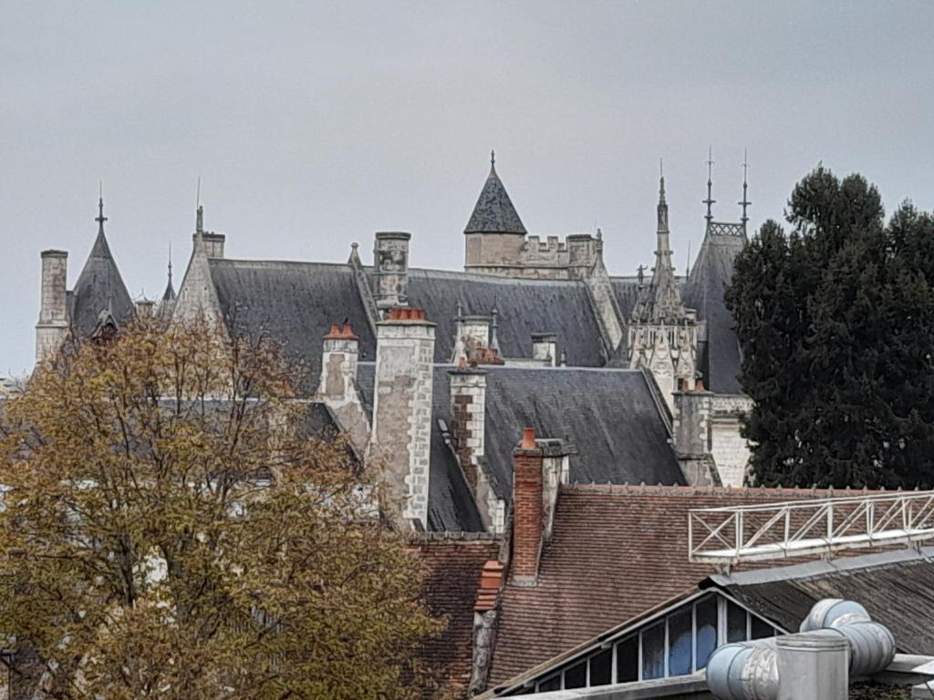 Zdjęcie z galerii obiektu Le Nid d'hirondelles - Appartement de caractère hypercentre au calme w mieście Bourges
