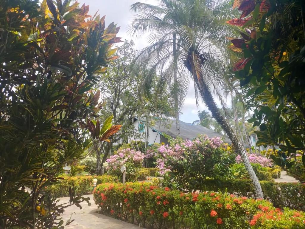 ラス・テレナスにあるLas Palmas Eco Residenceの建物前のヤシの木と花の庭園