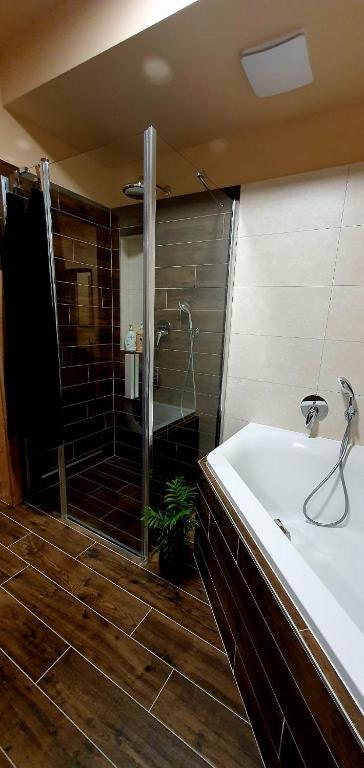 Koupelna v ubytování Apartmán Jako doma