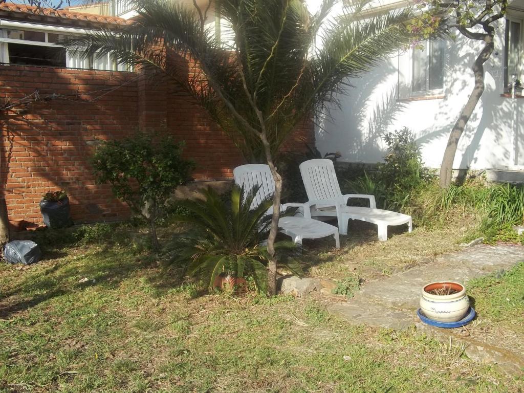 duas cadeiras brancas sentadas ao lado de uma palmeira em Appartement Banyuls-sur-Mer, 3 pièces, 6 personnes - FR-1-309-35 em Banyuls-sur-Mer
