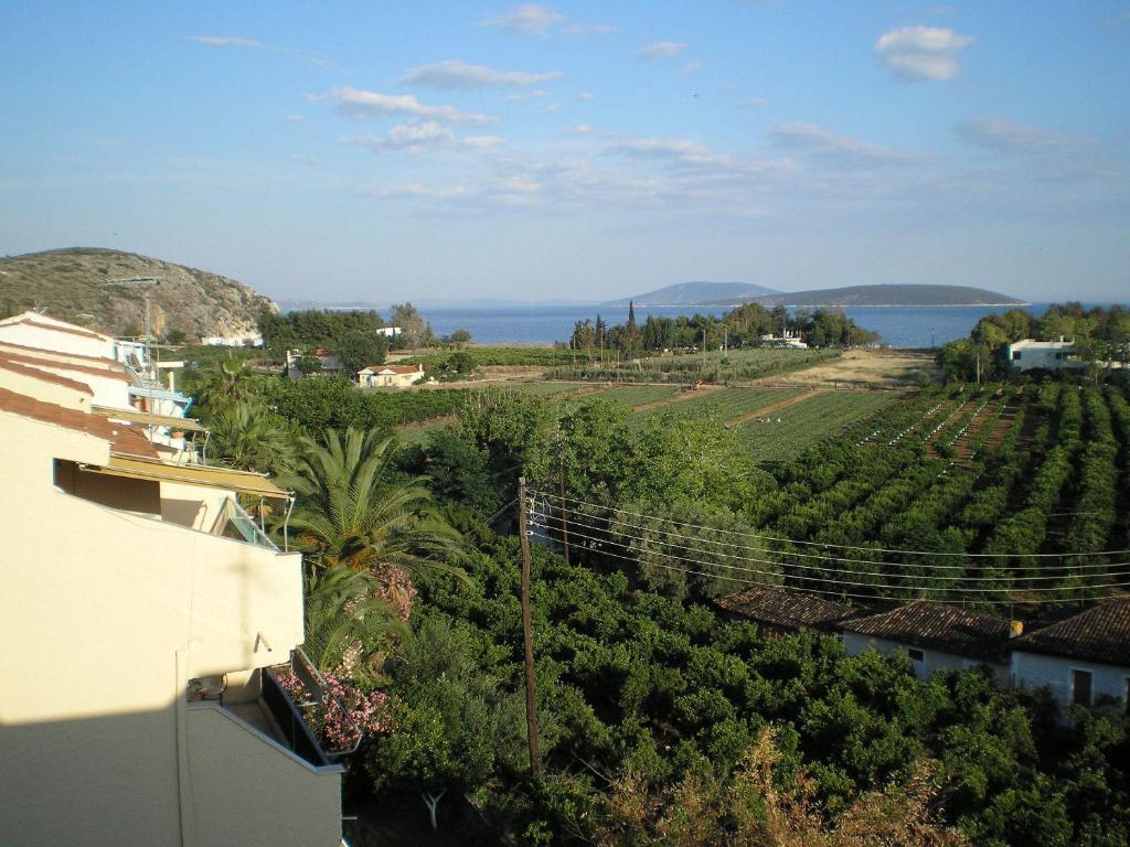 a view of a vineyard and the ocean from a building at Christina Apartments in Drepana