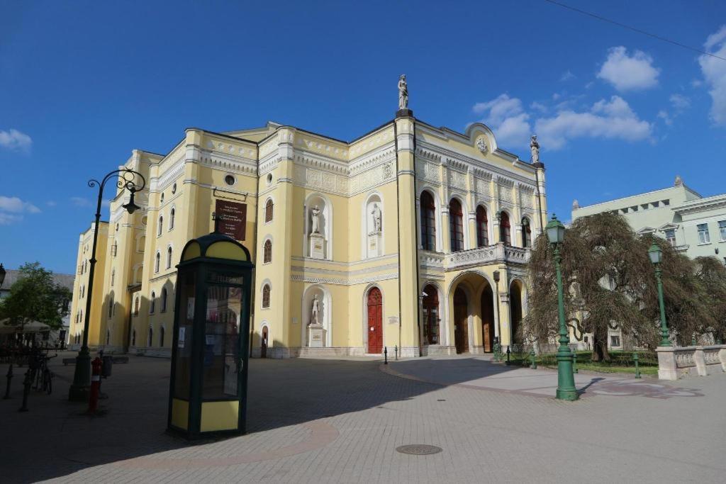 Zdjęcie z galerii obiektu Belvárosi lakás, ingyenes parkolással w Debreczynie
