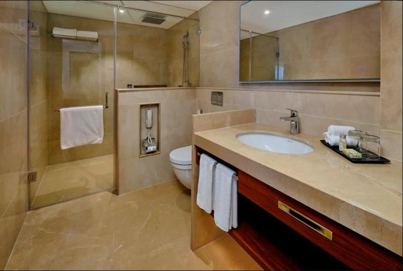 a bathroom with a sink and a toilet and a shower at Pride Hotel Udaipur in Udaipur