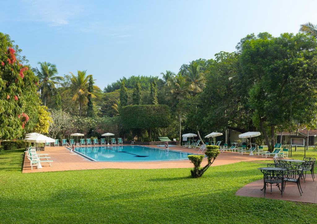 einen Pool mit Tischen und Stühlen in einem Park in der Unterkunft Tamarind Tree Garden Resort - Katunayake in Negombo