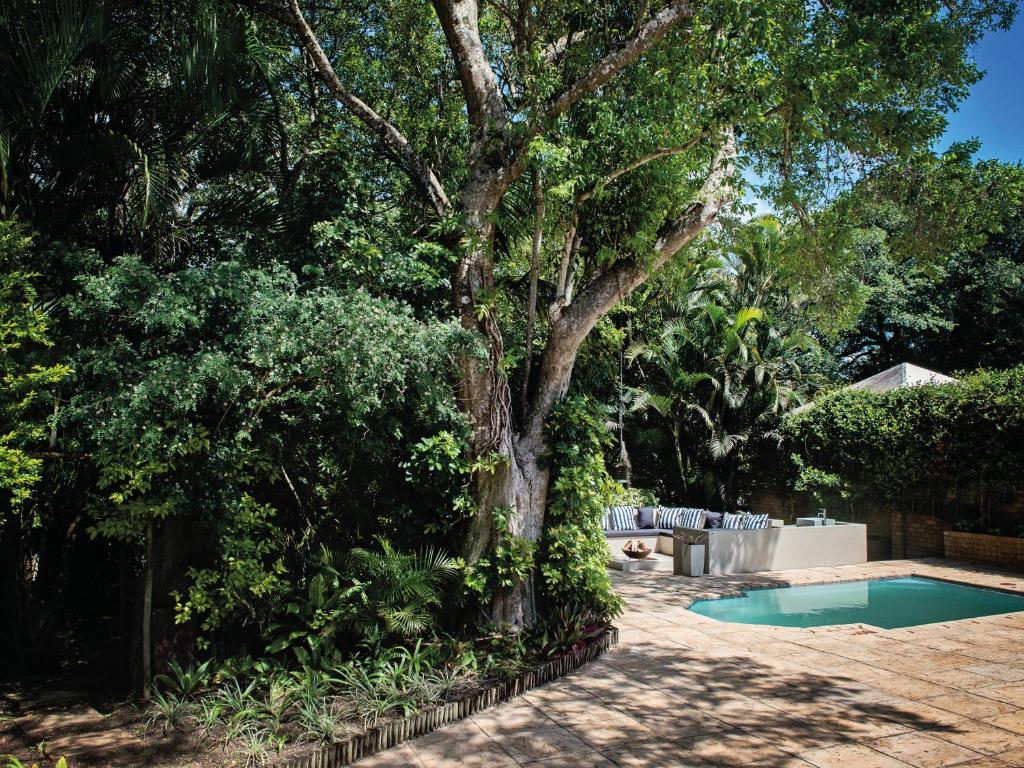 un patio con un árbol y una piscina en Galago Way en St Lucia