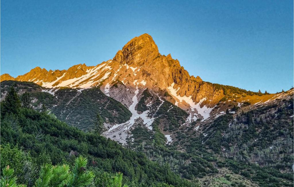 a mountain in the middle of a forest at Lovely Home In Dalaas With Kitchen in Dalaas