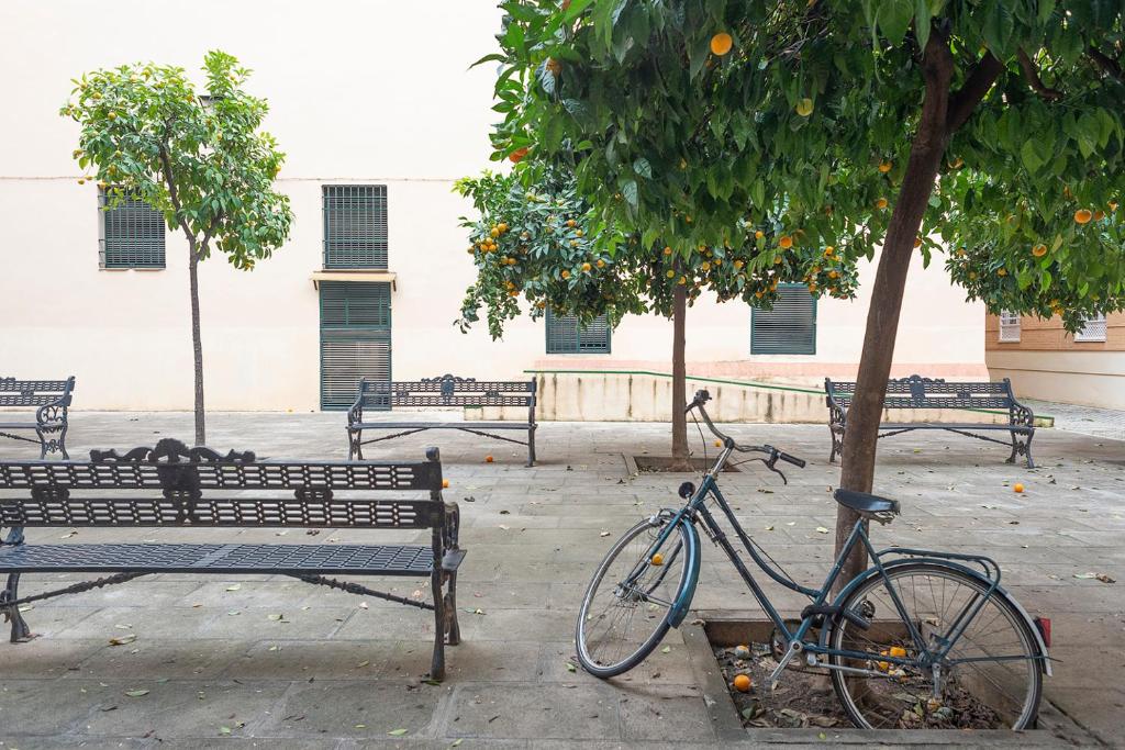 Jazda na bicykli v okolí ubytovania Alohamundi Escuelas Pías