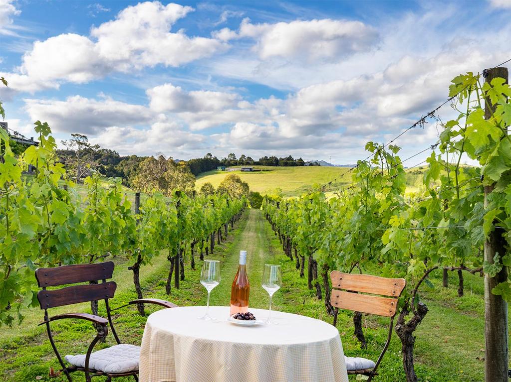 The Nest Matakana Vineyard Retreat, Warkworth (updated prices 2024)