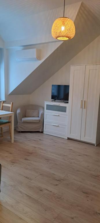 Televízia a/alebo spoločenská miestnosť v ubytovaní Prokocim Apartments