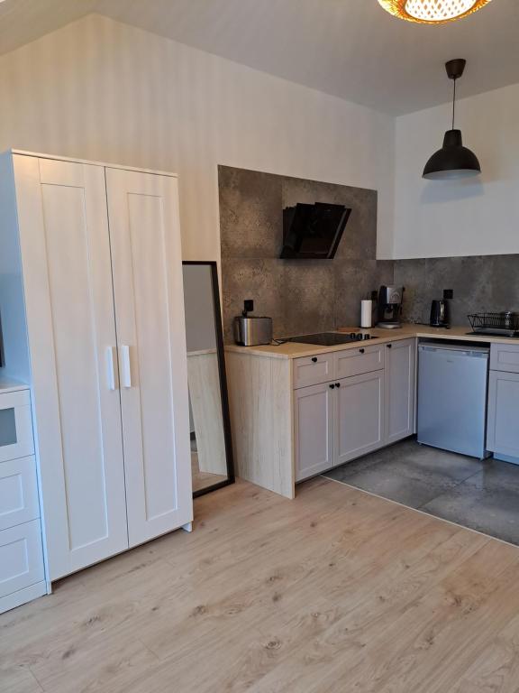 Kuchyňa alebo kuchynka v ubytovaní Prokocim Apartments