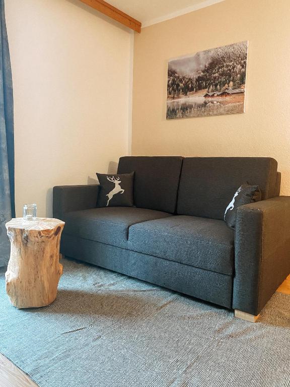 Alpenappartements Schwalbennestl - 12