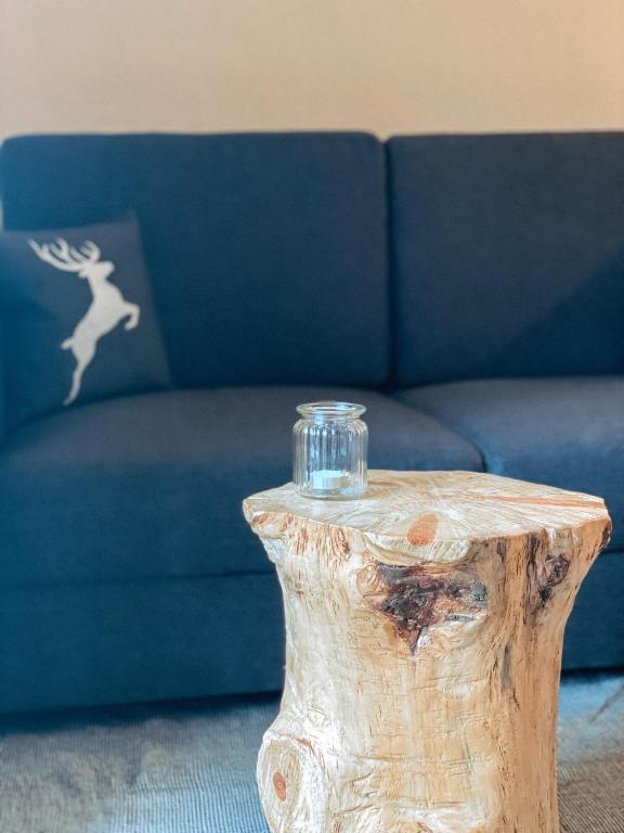 Alpenappartements Schwalbennestl - 13