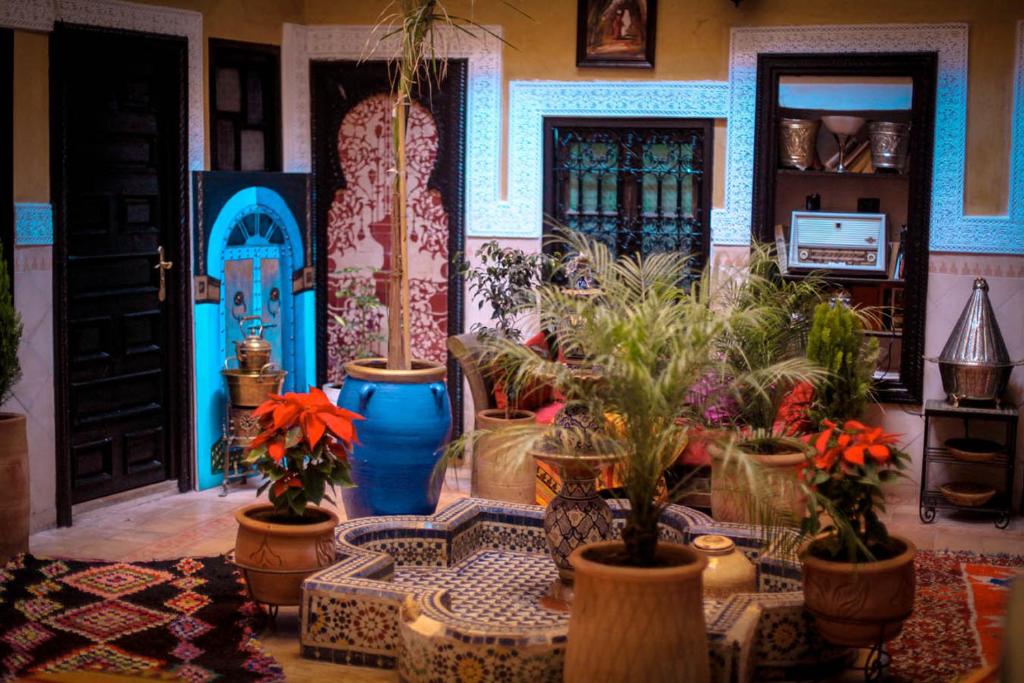 um quarto com um monte de vasos de plantas em Riad Douja em Marraquexe