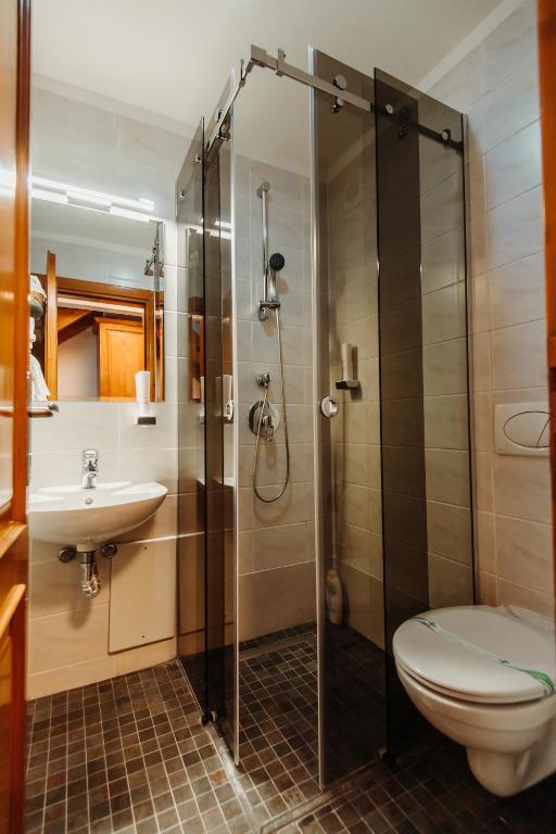 a bathroom with a shower and a toilet and a sink at Boutique Damiani in Sibiu