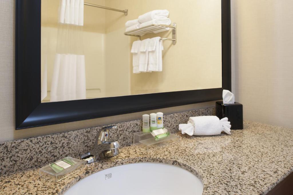 Country Inn & Suites by Radisson, Holland, MI - King Room - Niet Roken