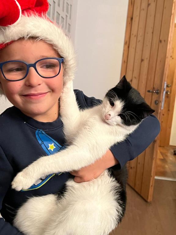 Domácí mazlíčci ubytovaní s hosty v ubytování Berghof Haselsberger