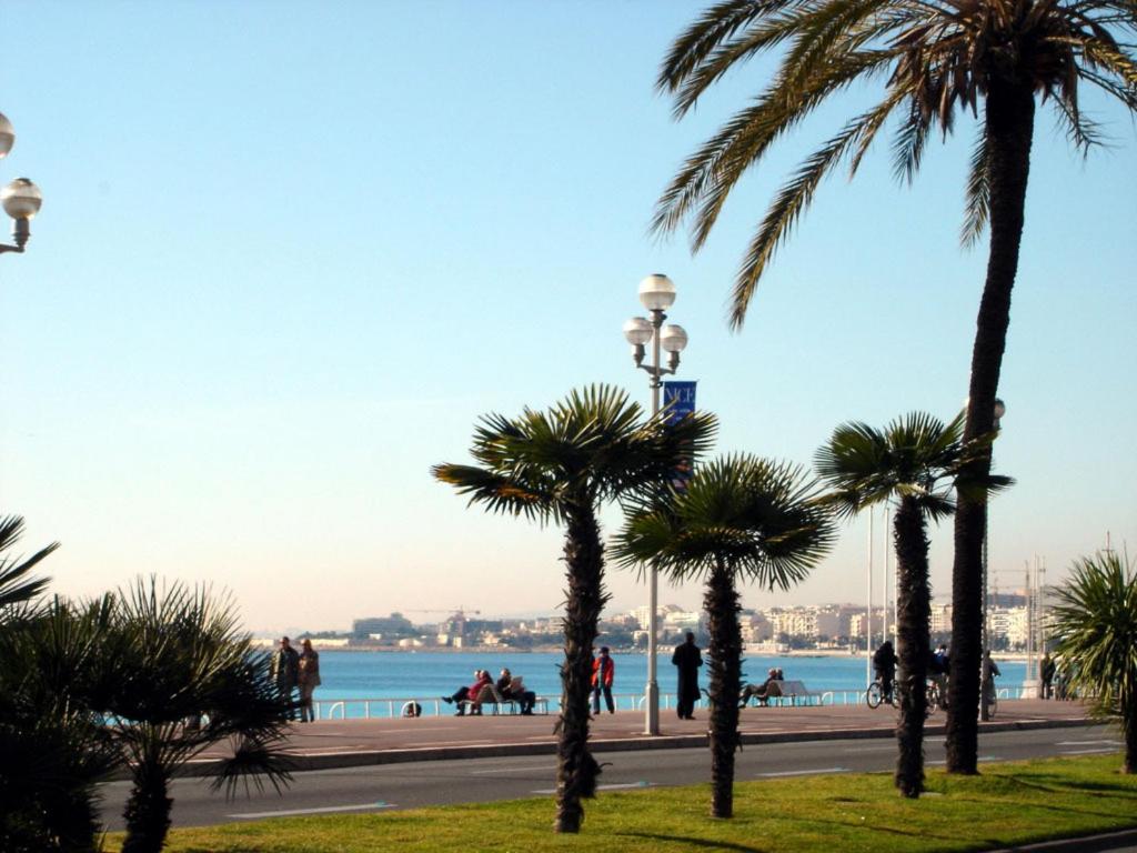 a group of palm trees in a park next to the water at Appartements Nice Centre Carré d’or in Nice