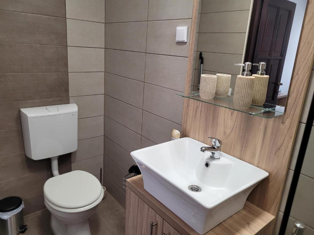 a bathroom with a white sink and a toilet at Végvári Vendégház in Magyarbóly