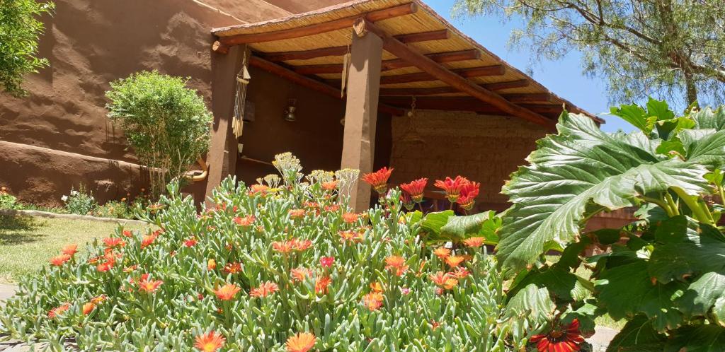 La Casa de los Molles في تيلكارا: حديقة بها زهور أمام المنزل