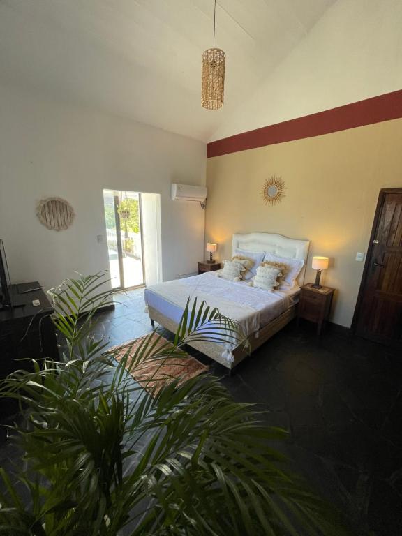 ein Schlafzimmer mit einem Bett und einigen Pflanzen in der Unterkunft 41 Hostel in Punta del Este