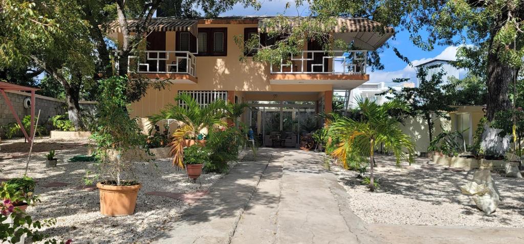 Casita de las flores في San José de Ocoa: منزل أمامه الكثير من النباتات