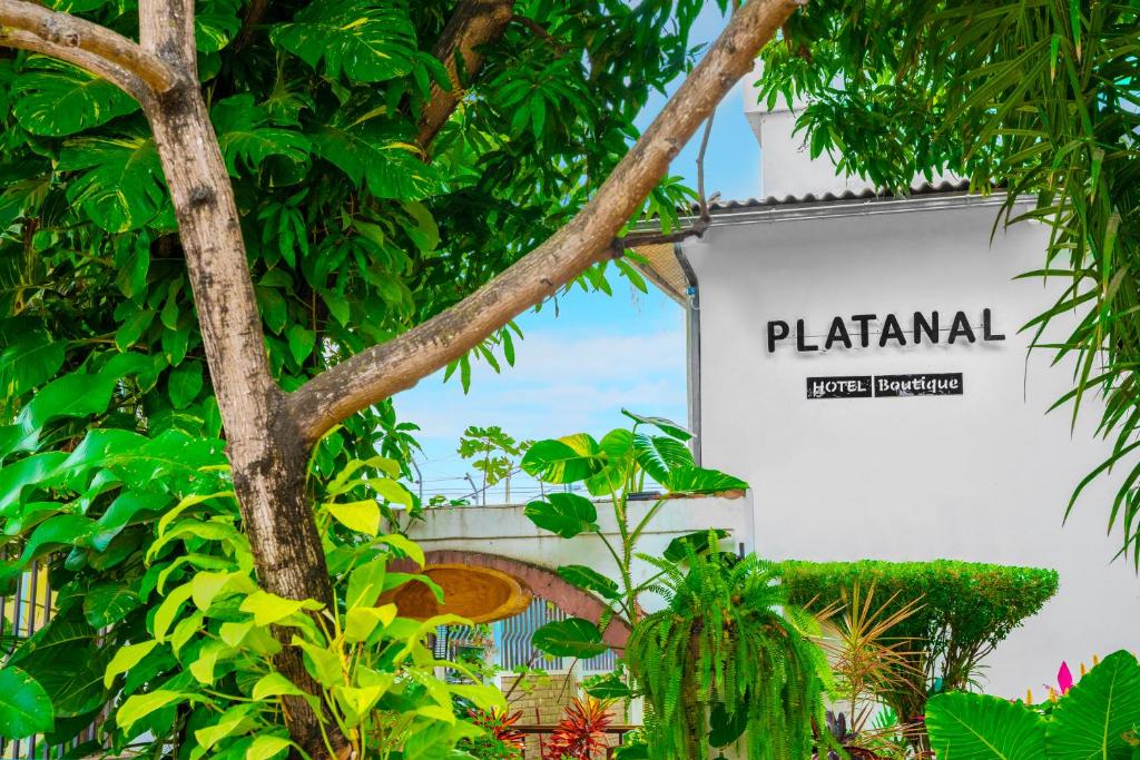 Zahrada ubytování Hotel Boutique Platanal