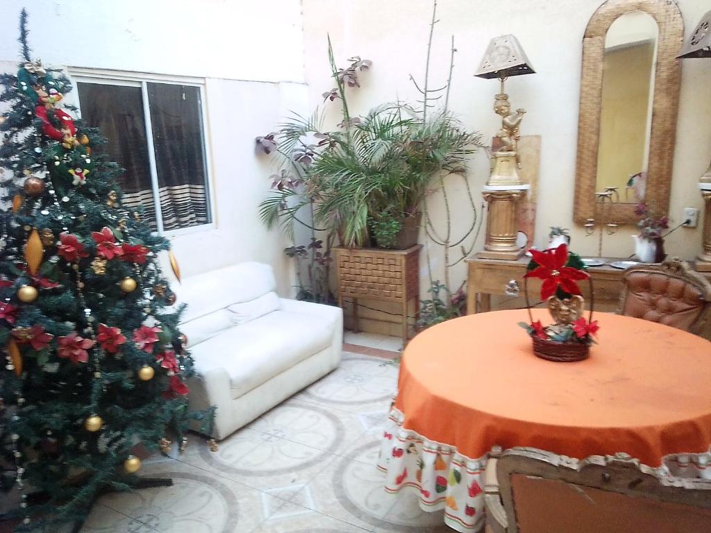 a living room with a christmas tree and a table at pension de fer in San Luis Potosí