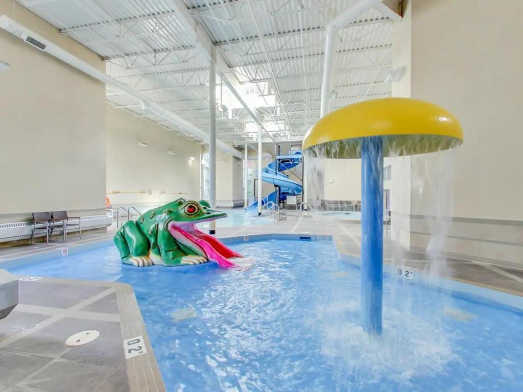 a indoor pool with a toy turtle in the water at The Grotto in Canmore