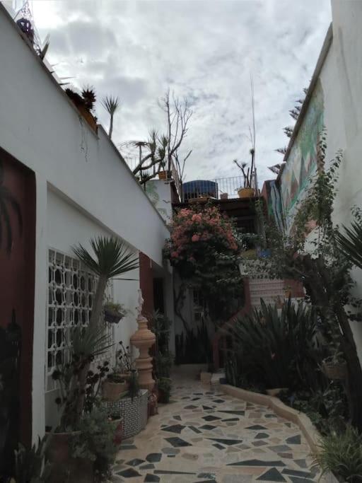 Dar bouazza, Casablanca (updated prices 2024)