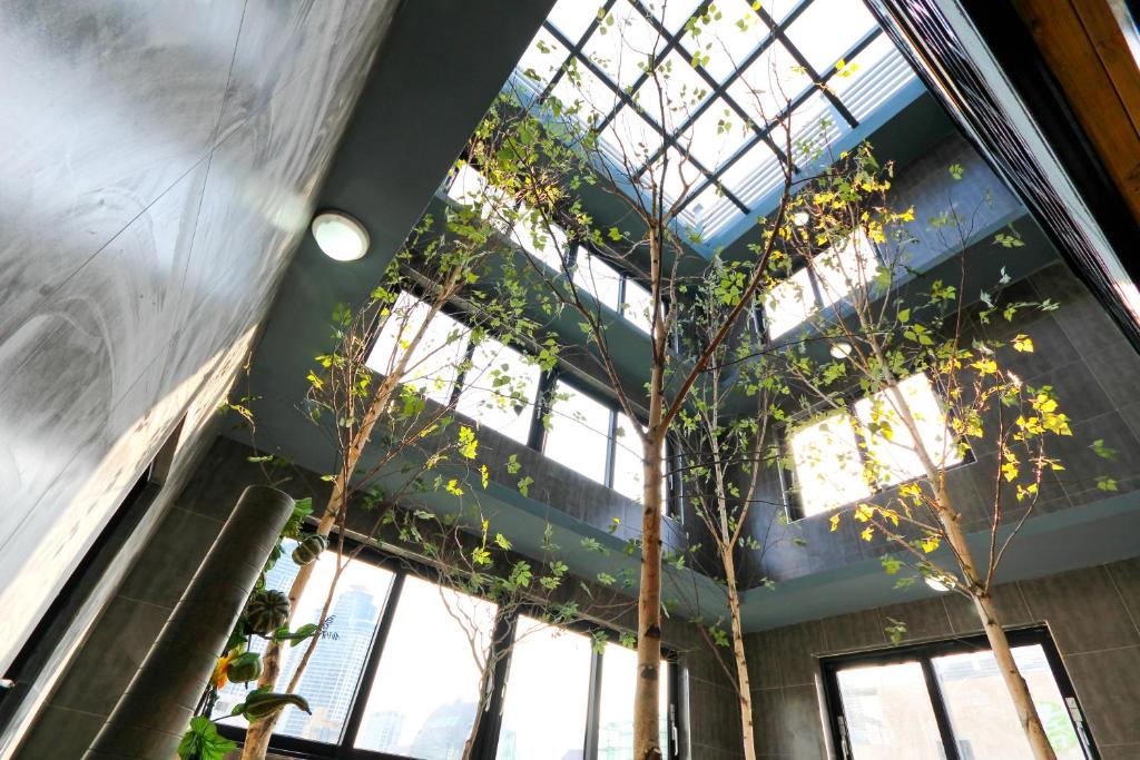 Fotografie z fotogalerie ubytování Hotel Home v destinaci Pusan